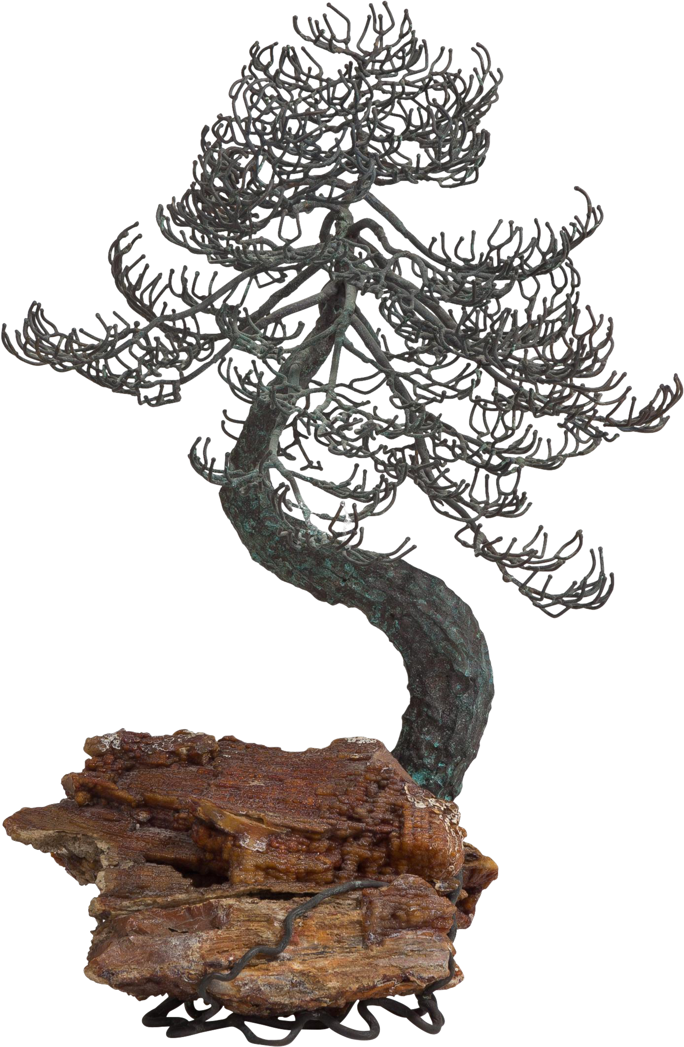 Graphic Black And White Library A Superb Bronze Tree - Jack Pine (1541x2359), Png Download