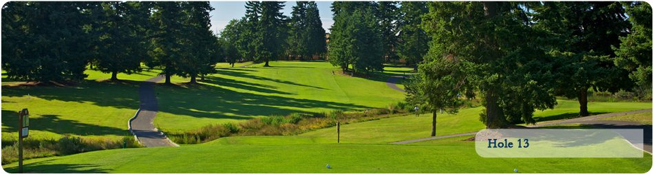 Walter Hall Golf Course (980x354), Png Download