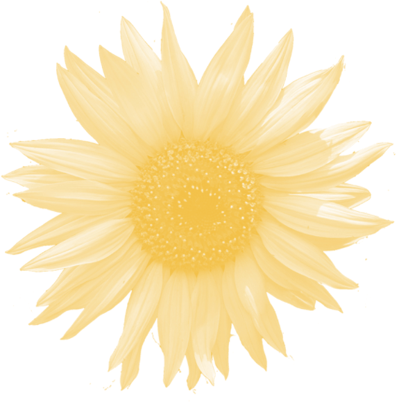 Daisy Oak Photo - Aqua Flower (664x625), Png Download