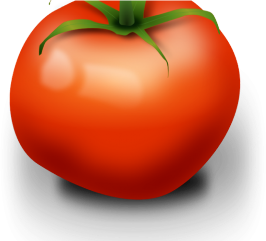 Coffee Plant Clipart Vegetable Plant - Tomato Clip Art (640x480), Png Download