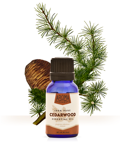 Cedarwood Oil (559x600), Png Download