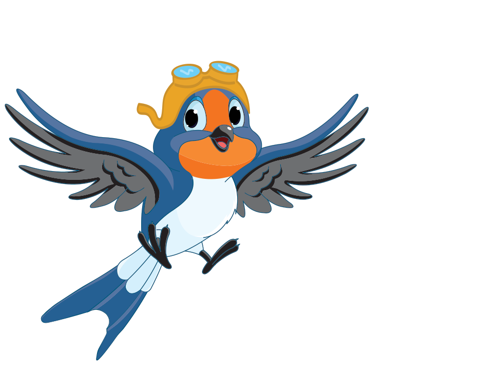 With Act On Board, Flying Charity Takes Off - Parrot (1000x800), Png Download