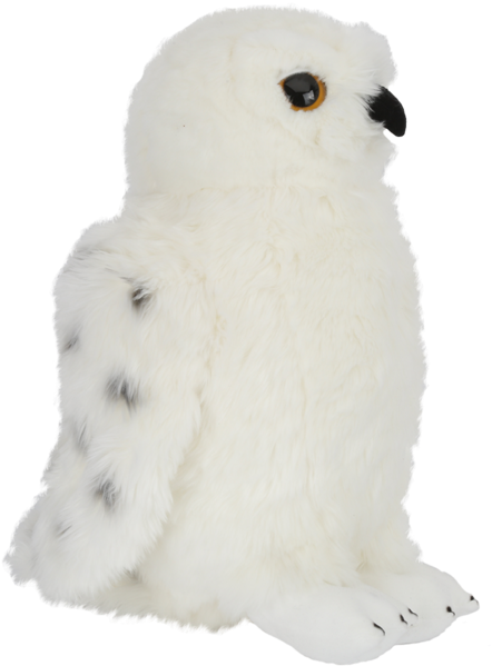 Snowy Owl (528x600), Png Download