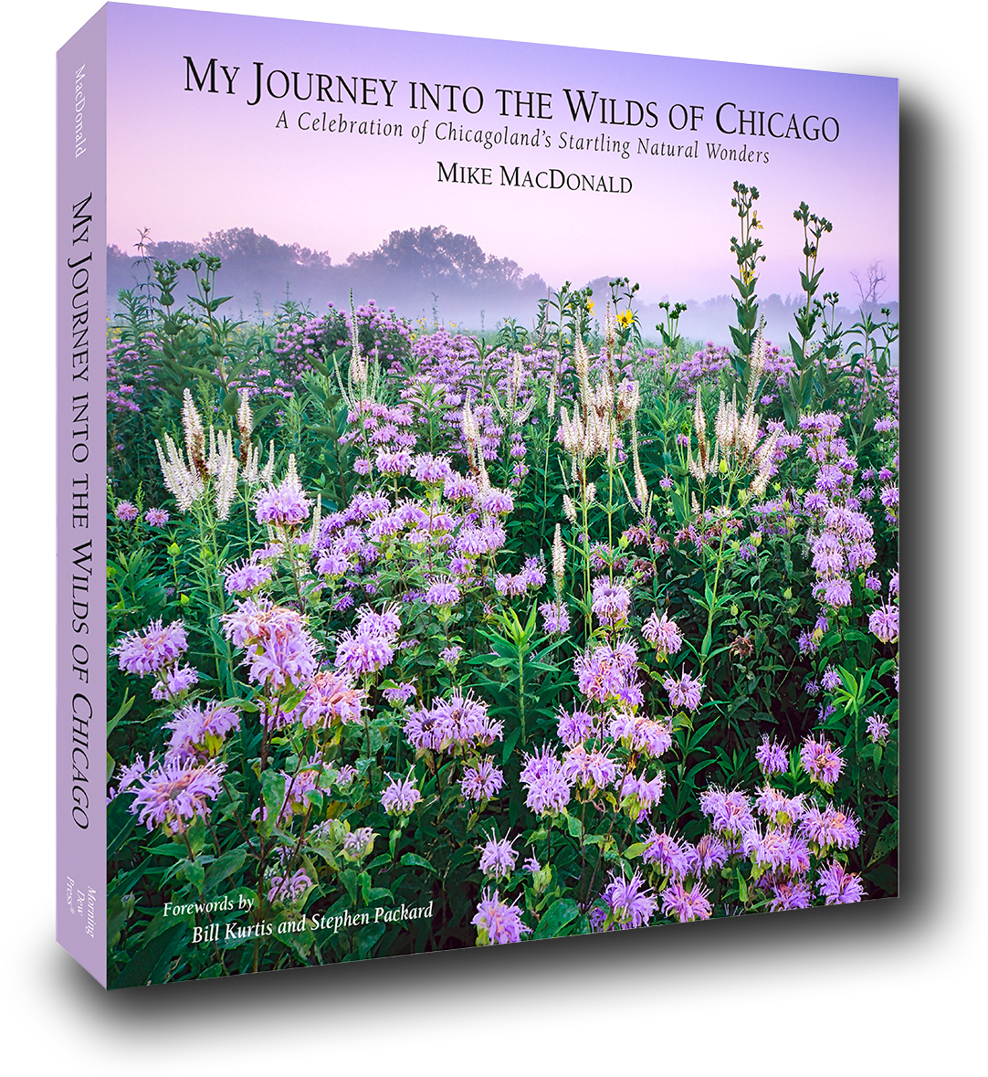 My Journey Into The Wilds Of Chicago A Celebration - Mike Mcdonald Journey Into The Wilds Chicago (1103x1200), Png Download