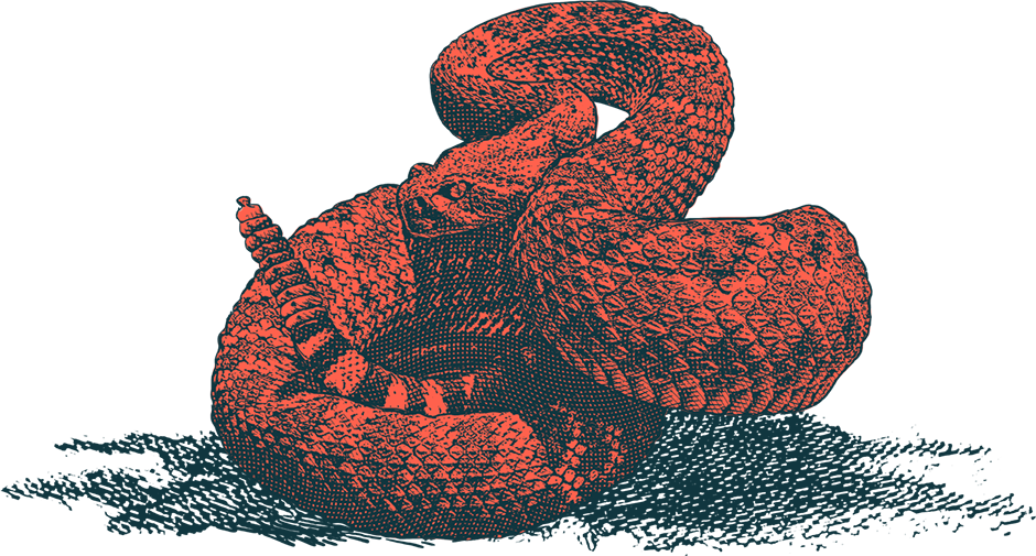Serpent (940x505), Png Download