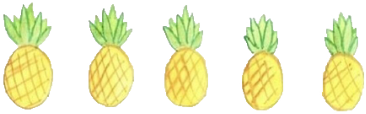 Seedless Fruit (1542x480), Png Download