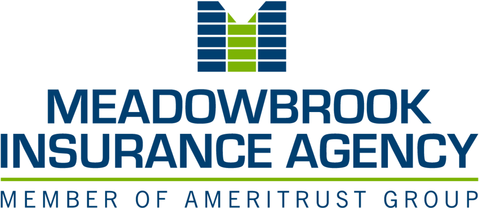 Meadowbrook Ins - Png - Meadowbrook Insurance Group, Inc. (1000x439), Png Download