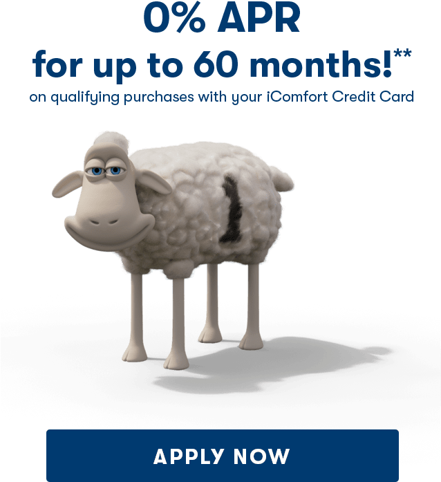 0% Financing Up To 60 Months - Sheep (640x822), Png Download