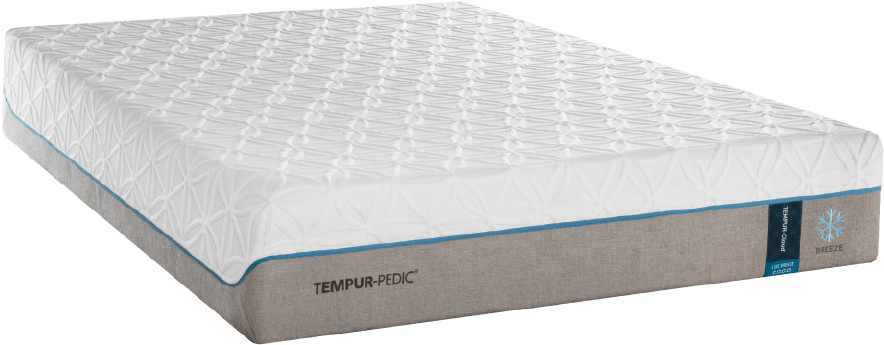 Tempur Pedic Logo Vector Fangear Fangear Daksh Serta - Tempur-pedic (916x376), Png Download