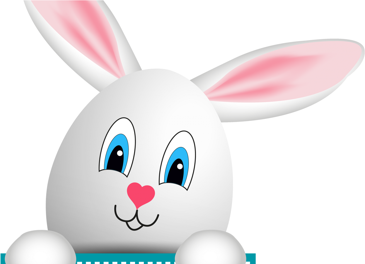 Domestic Rabbit (1440x900), Png Download