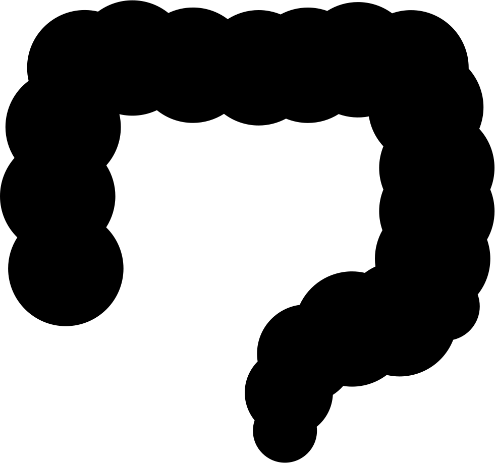 Png File Svg - Intestines Icon (981x918), Png Download