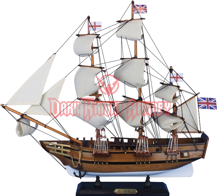 Handcrafted Nautical Decor Hms Beagle Model Yacht (698x698), Png Download