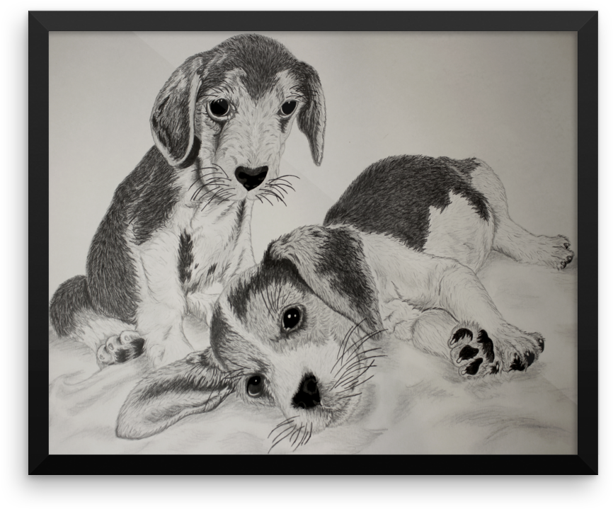 Harrier (1000x1000), Png Download