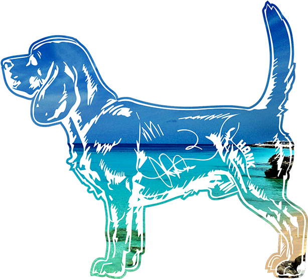 Custom Regal Beagle Tee - T-shirt (800x600), Png Download