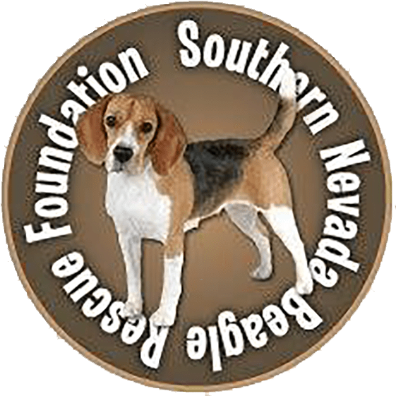 Issue - Beagle-harrier (561x561), Png Download