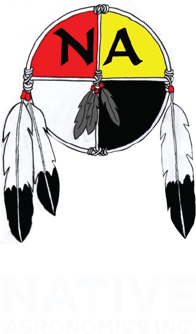 Clip Art Medicine Wheel (401x681), Png Download