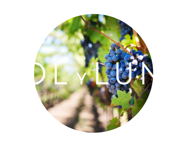 Background Hd Vineyard (729x696), Png Download