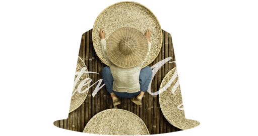 Nespresso Master Origin (530x316), Png Download