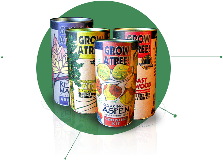 Plant A Tree Kit - Jonsteen Company Quaking Aspen Grow Kit (713x514), Png Download