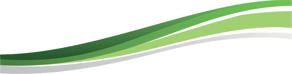 City Of Tshwane Logo Png (1024x260), Png Download