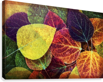 Four - Counseling: A Comprehensive Profession (429x344), Png Download