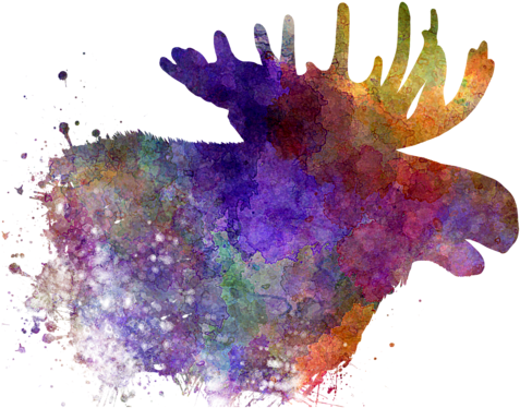 Click And Drag To Re-position The Image, If Desired - Pablo Romero (600x480), Png Download