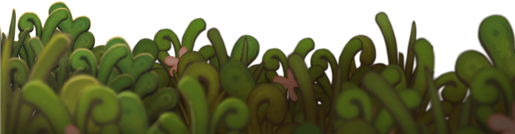 Bodie Swish 02 Oct 2018 - Hardy Kiwi (1680x450), Png Download