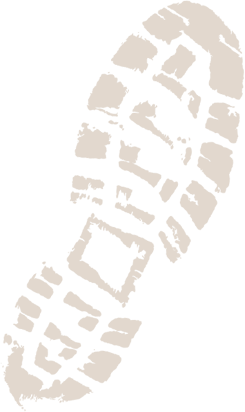 Steiner Wildlife Pro - Binoculars 8 X 30 (355x595), Png Download