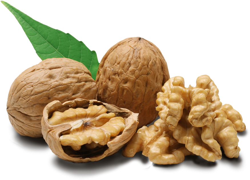 Walnut Png (1024x682), Png Download