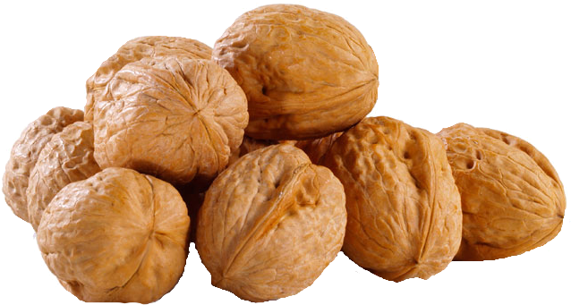 Walnut Png - Cartoon Squirrel Hiding His Nuts (640x380), Png Download