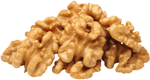 Walnuts Png Photo - Food To Live Organic Walnuts (raw, No Shell) (25 Pounds) (480x480), Png Download
