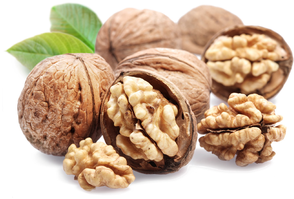 Walnut Png File - Nuts Png Transparent Background (510x240), Png Download