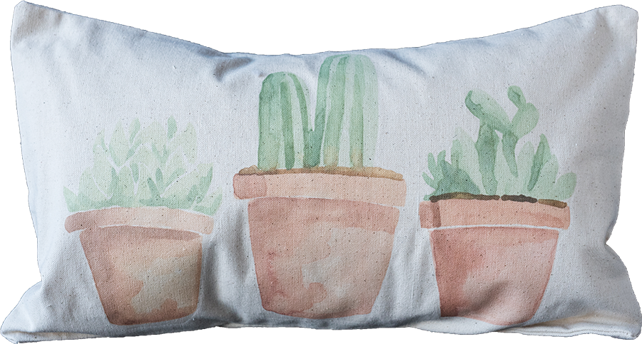 Potted Succulents Terrecotta - Flowerpot (900x483), Png Download