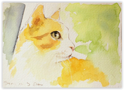 Find This Pin And More On Watercolor By Magnuson2934 - Domestic Short-haired Cat (413x300), Png Download