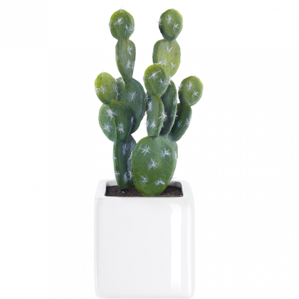 11670000 Asa-selection Deko Cactus Iii - Asa-selection Deko Succulent (420x420), Png Download