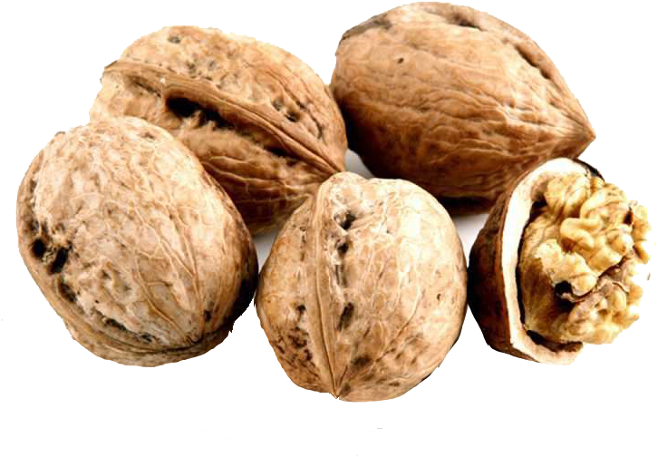 Walnut (800x800), Png Download