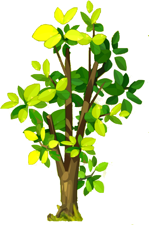 Walnut (496x738), Png Download