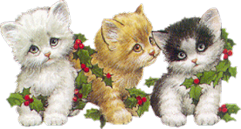 Cat Transparent Png Kitty Kitten Cats Kittens Christmas Gatitos Animados Con Movimiento Gif Full Size Png Download Seekpng