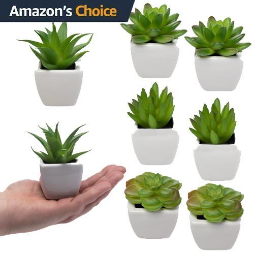 Set Of 8 Small Green Artificial Succulents In White - Small Plants (500x500), Png Download