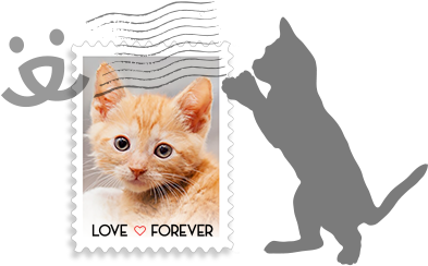 Send A Friend A Kitten - Cat (532x300), Png Download