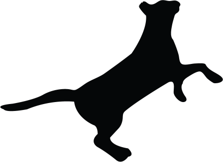 Trap–neuter–return (448x327), Png Download