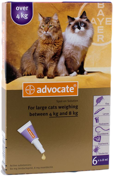 Advocate 6 Pack Large Cat Over 9 Lbs - Advocate Cats Over 4kg (1024x682), Png Download