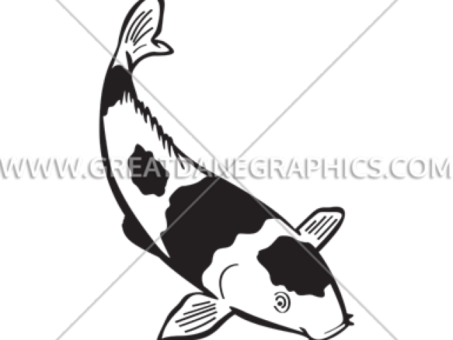 Koi Clipart Black And White (640x480), Png Download