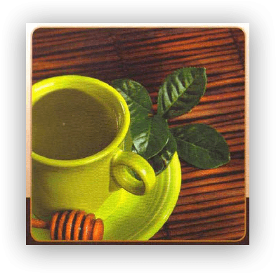 Javita Tea Cup - Green Tea (412x410), Png Download