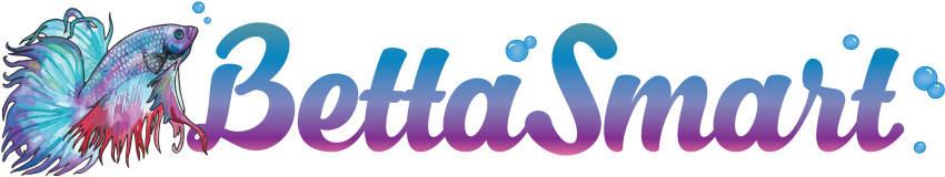 Better Betta Fish Care - Betta Hmpk Logo Design (940x198), Png Download