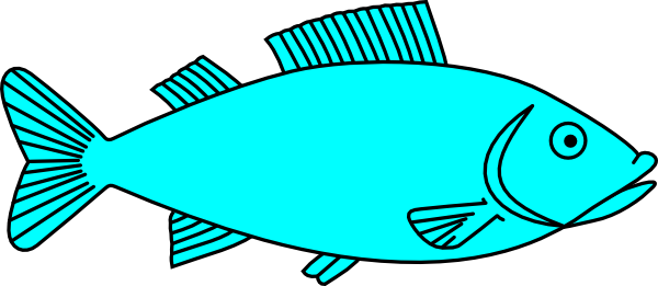 Fish - Big Fish Outline (600x261), Png Download