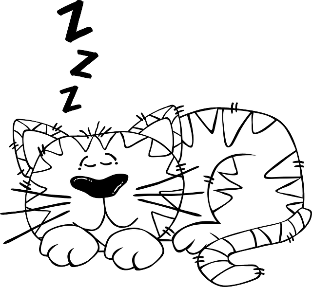 Betta Fish Sleep Too Animals Need Sleep - Sleep Cartoon Black And White (640x590), Png Download