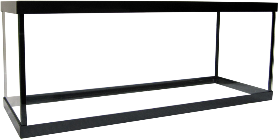 5 Betta Aquarium - Aquarium (1000x530), Png Download