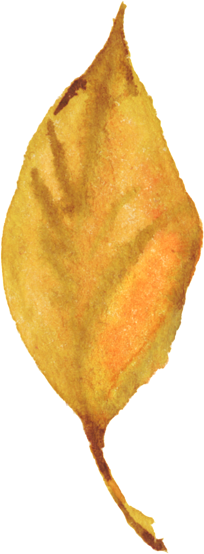 Deciduous Ornamental Material For Autumn Leaves - Portable Network Graphics (650x1766), Png Download