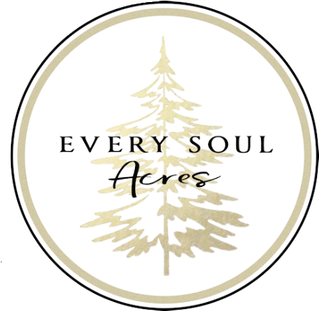 Christmas Tree (500x485), Png Download